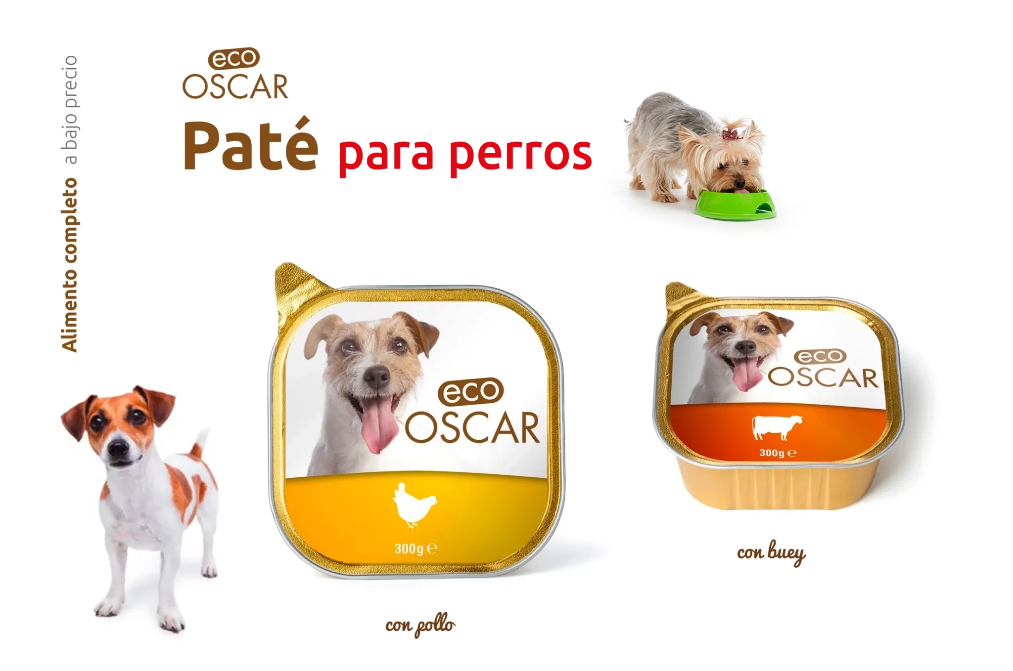 Visuel Eco Oscar ES